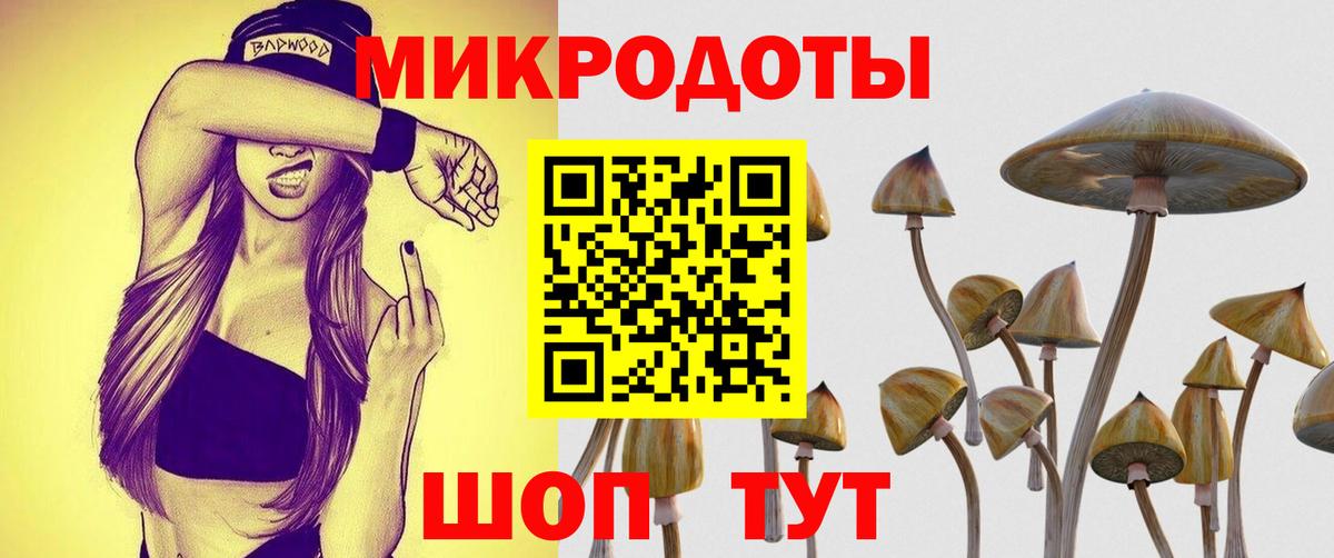 Богородск  Псилоцибиновые грибы GOLDEN TEACHER  Вход с VPN  Галлюциногенные грибы Cubensis 