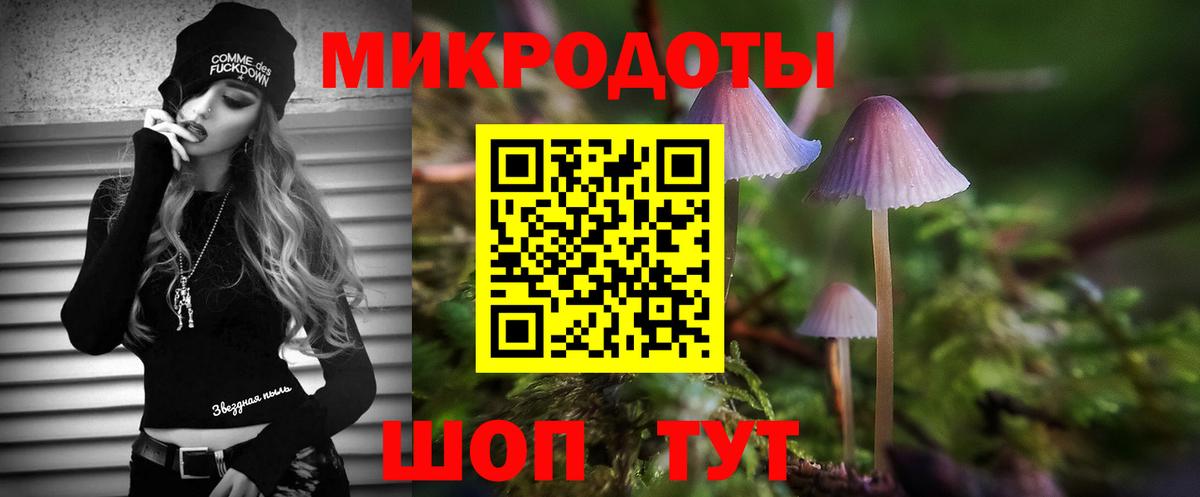 Галлюциногенные грибы Cubensis Богородск